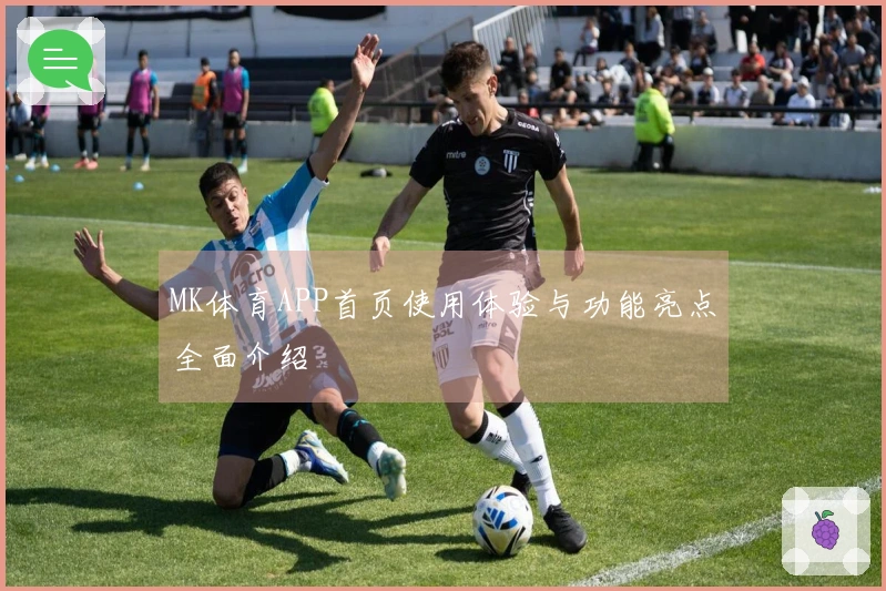 MK体育APP首页使用体验与功能亮点全面介绍