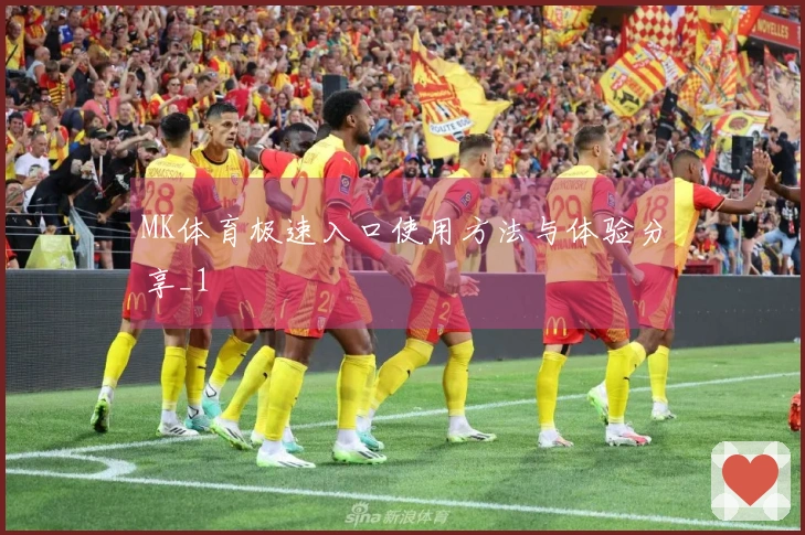MK体育极速入口使用方法与体验分享_1
