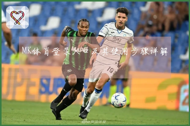 MK体育登录入口及其使用步骤详解